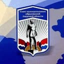 СМО Амурской области