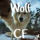 🐺⛰️ꅐꄲ꒒ꊰ ꉔꄲꋊꊰꏂꇙꇙ꒐ꄲꋊ🐺🏞️| Wolf Confession + Daily