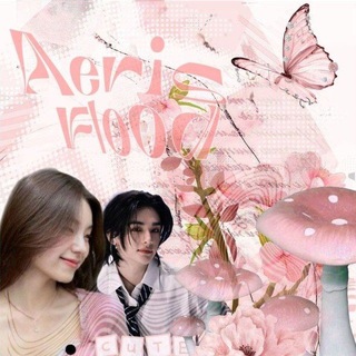 🫐🧊~•Aeris flood•~ info