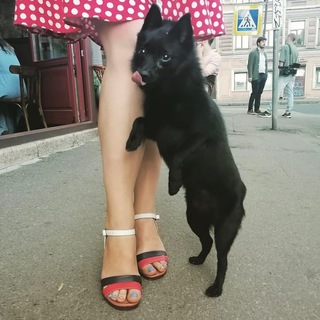 Пренебречь, вальсируем!