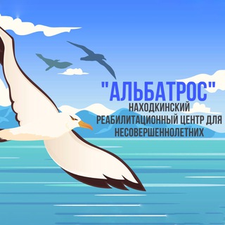 «Альбатрос» Комплексный центр по работе с семьей и детьми