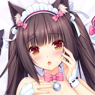 playboybunny:3