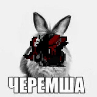 — ᴀнᴋᴇᴛницᴀ ᴅᴀᴍɴᴇᴅ —