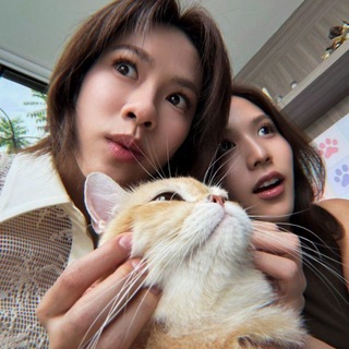 choco kittens, emibonnie
