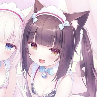 ꒰夢見る𝒂𝒓𝒊❀ ꒱°