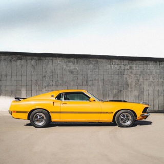 Art of Motors