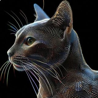Котики