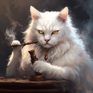 Белее белого🐈‍⬛