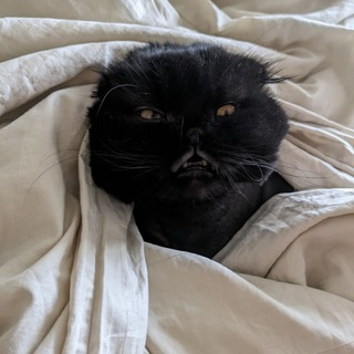 Дом Зла
