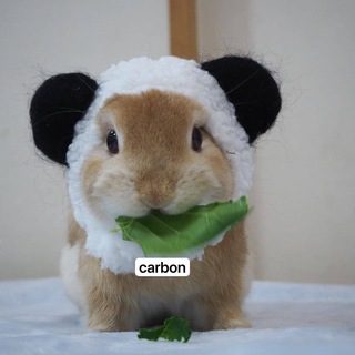 carbon