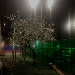 #ильяприкольный