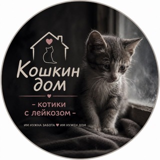 Кошкин дом - котики с лейкозом