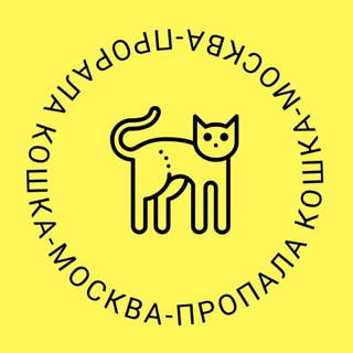 Пропала кошка Москва