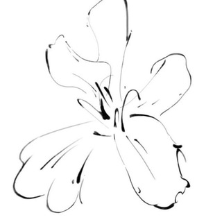 婊子 ： 𝕮𝗁𝖺𝗋𝖺