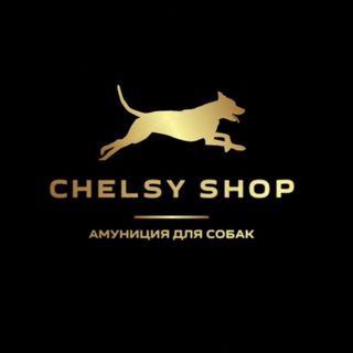 CHELSY SHOP||амуниция для собак