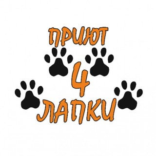 Донецкий приют🐾4 ЛАПКИ🐾