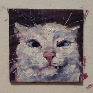котосижа
