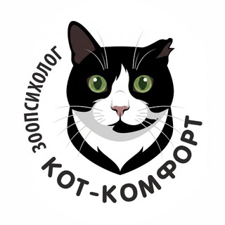 Зоопсихолог | Кот-Комфорт🐾