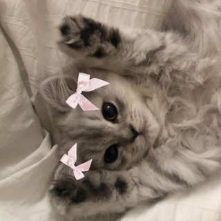 дневник тарелочек🎀