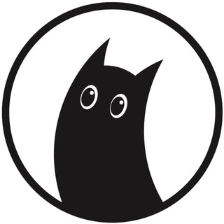 Дашкин кот