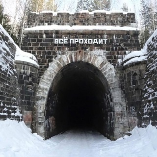 Дидинский лес🌲