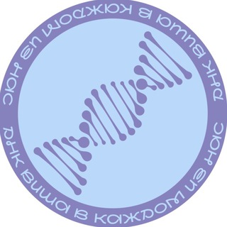 ДНК