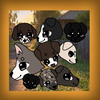 🐾ⲇ𐔖ⲙᥲɯⲏυе Dog🐕‍🦺