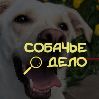 СОБАЧЬЕ ДЕЛО.