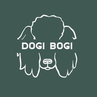 DOGIBOGI🐶