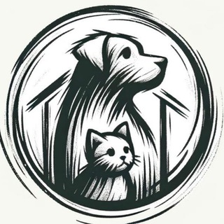 🐶🐱Пропал/Найден питомец (собака, кошка) (Москва и МО)