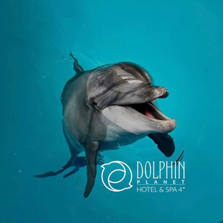 Загородный комплекс «ПЛАНЕТА ДЕЛЬФИНОВ» Dolphin Planet Hotel&SPA