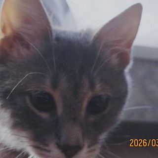 :3