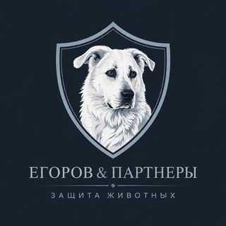 "Егоров и партнеры права животных "