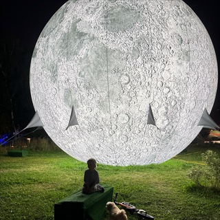 Малыш Илон на Луне🚀