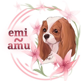 emi~amu🐾(амуниция для животных)