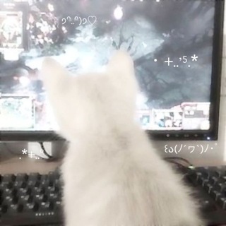 ┊༄чайный домик еши!