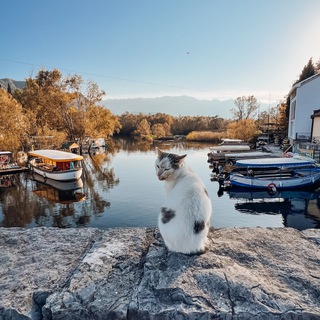 Это Балканы, детка!