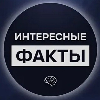 Интересные Факты
