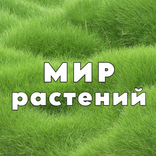 Мир Растений🌳дача