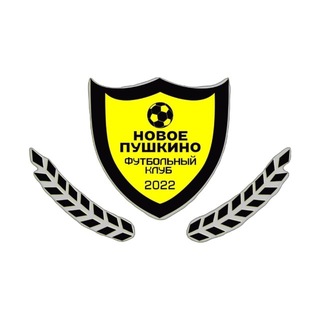 ФК Новое Пушкино