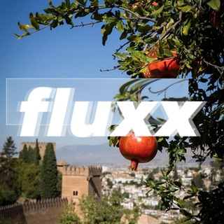 fluxx AGENCY