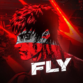 Fly The Finals