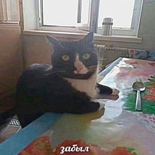 лисья нора.