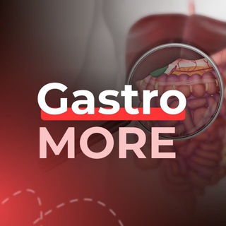 GastroMORE
