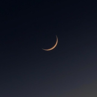 صوت الشرق