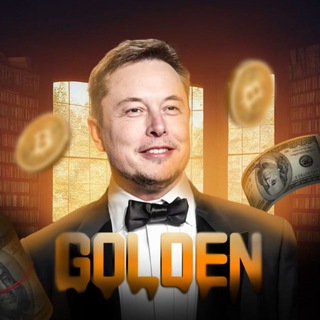 Golden | UFC & MMA