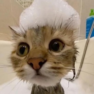 Skyymix?