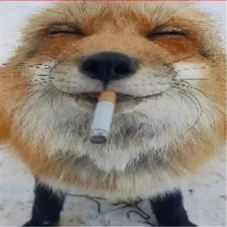 увидимся же?