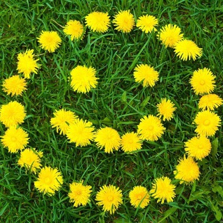 Юмор здорового человека😊