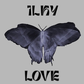 ILKY LOVE